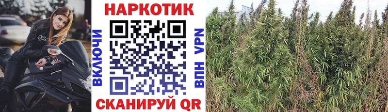  COCAIN Железногорск