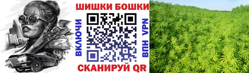 Конопля Amnesia  Железногорск 